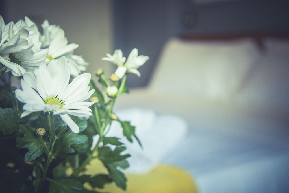 Hotel Stella D'Italia - Nuova Gestione ริมินี ภายนอก รูปภาพ